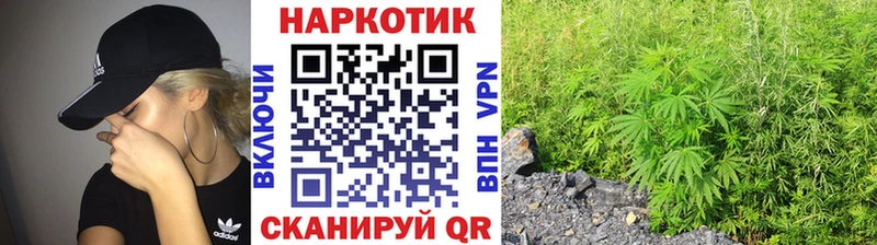 Купить Alpha PVP  МЕФ  АМФЕТАМИН  Псилоцибиновые грибы  Конопля  Лесосибирск