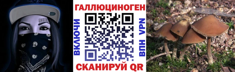 Псилоцибиновые грибы мухоморы  Купить  Лесосибирск 